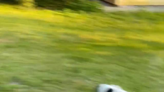 Это средство от тли БЕЗОПАСНО для растений 🌱 И даёт 💯 процентный результат! ПРОВЕРЕНО ЛИЧНО💥 смотреть онлайн