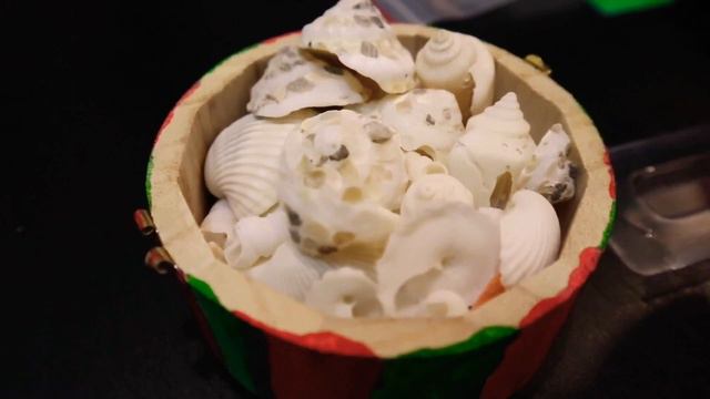 Мы завели муравейник! Часть 2