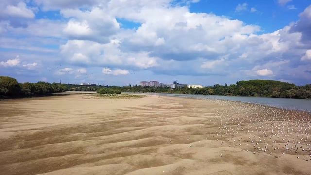 остров чаек на западной окраине Краснодара смотреть онлайн