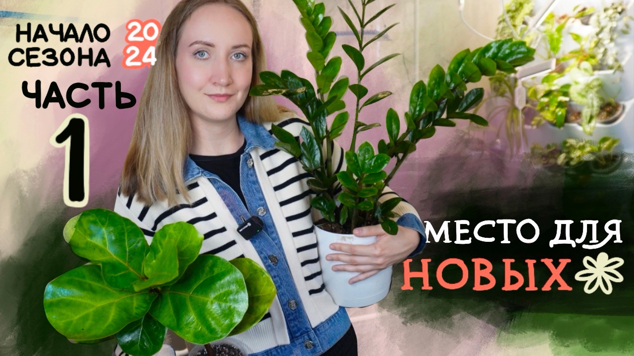 ОСВОБОЖДАЮ ПРОСТРАНСТВО 😱| Пересадки, перестановка, обработка от трипсов и другое | ЧАСТЬ 1 смотреть онлайн