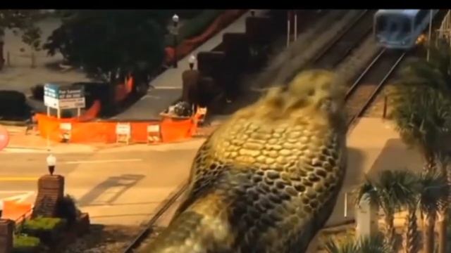 Mega Python VS Gatoroid смотреть онлайн