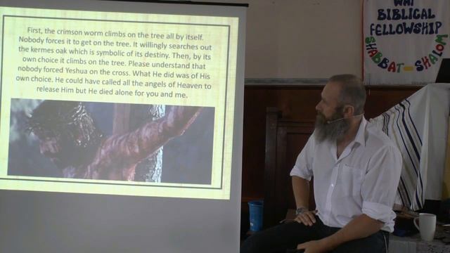 The Crimson Worm смотреть онлайн