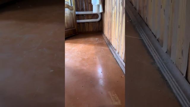 Дом до ремонта, продолжение следует … смотреть онлайн