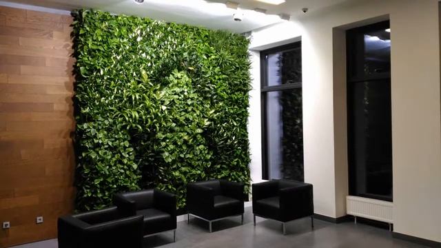 Фитостены из растений и стабилизированного мха смотреть онлайн