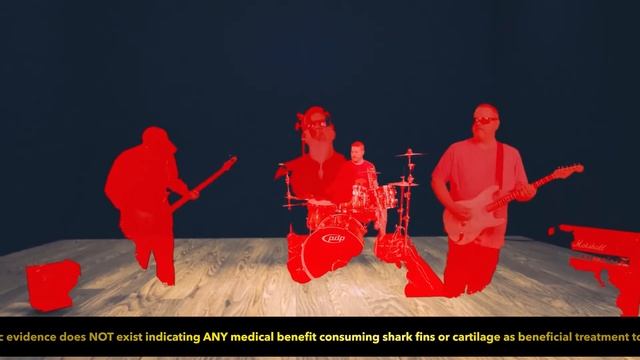 SHARK FIN SOUP By ZOOLOGY U.S.A.