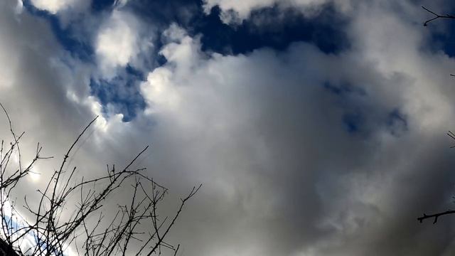 Горькая правда о том, что не так с мужчинами смотреть онлайн