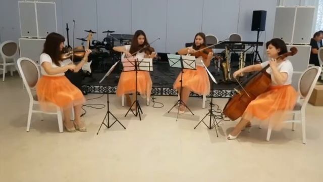 Gramofon Waltz - E. Doga смотреть онлайн