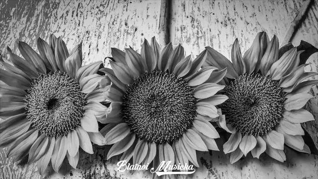 Мурат Тхагалегов - а ты красива и опасна 2018 смотреть онлайн