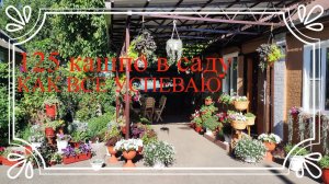 125 кашпо в саду. Как все успеваю полить и уделить внимание всем цветам. Выращивание цветов в кашпо.