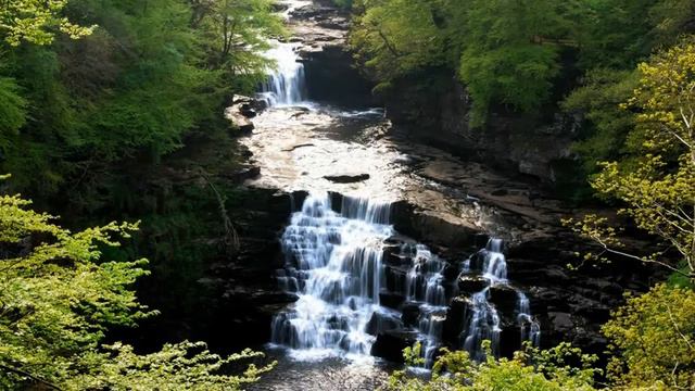 Video Background Stock Footage Free ( Mountain Waterfall In A Dense Forest In Summer )