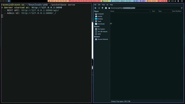 PocketBase Tutorial #1 - Intro To PocketBase
