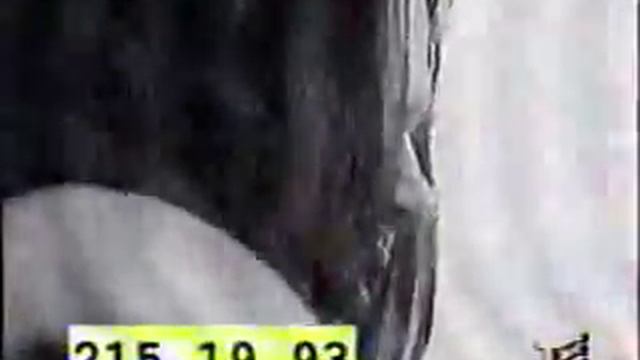 Чиж Я подобно собаке Антропология смотреть онлайн
