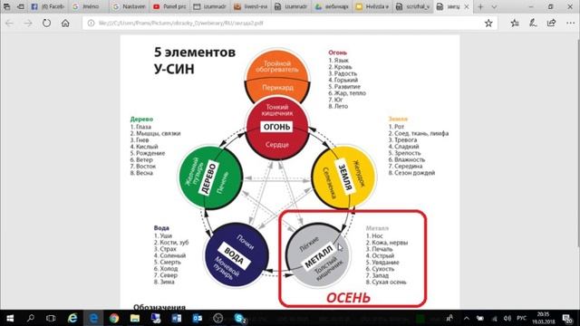 Традиционная китайская медицина для ВСЕХ. Лекция 1 смотреть онлайн