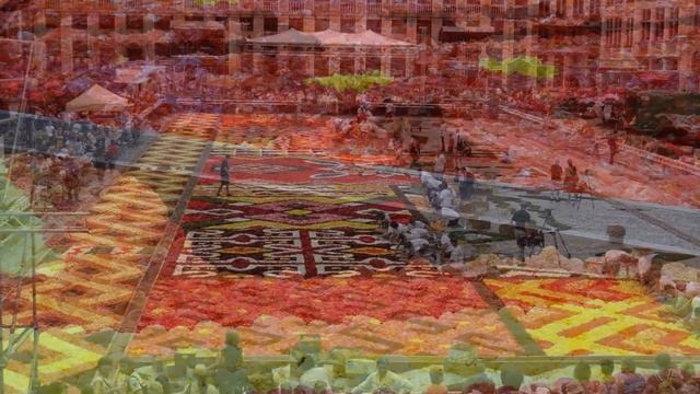 Bloementapijt, Grote Markt, Brussel, part 2. Ковер из цветов на Гран-Плас в Брюсселе, часть 2. смотреть онлайн