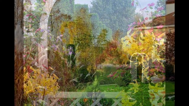 Свадебная фотосессия в саду Николая Дементьева смотреть онлайн