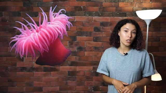 Окружающий мир для малышей. Животные смотреть онлайн