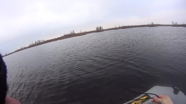 Рыбалка на финскую сетку на болоте в лесу. смотреть онлайн