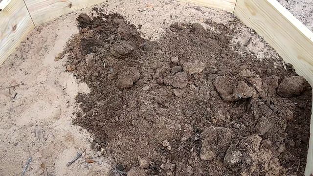 Start of Another Project смотреть онлайн
