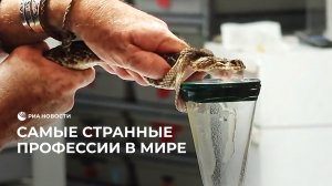 Самые странные профессии в мире