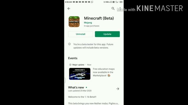 Download MCPE new 1.16 beta version for Android смотреть онлайн