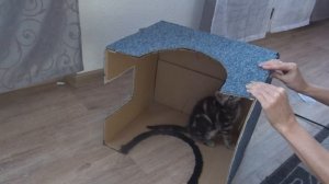 КАК СДЕЛАТЬ ДОМИК ДЛЯ КОШКИ / СВОИМИ РУКАМИ ДОМ ДЛЯ КОТА ИЗ КОРОБКИ /Cat house