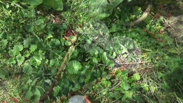 Плоскорез Craftsman смотреть онлайн