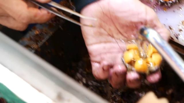 Japanese Street Food - OSAKA SEAFOOD Giant Scallops, Oysters, Sea Urchin Japan смотреть онлайн