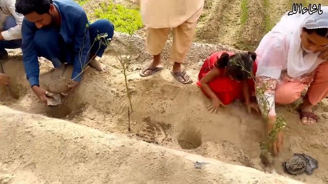 Aaj Mera Yeh Shouq bhi Poora Ho gya | Aliza Sehar Vlogs | Village Desi Life смотреть онлайн