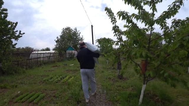 Влог : Виноград ожил / Делаю окрошку с дачной редиской . смотреть онлайн