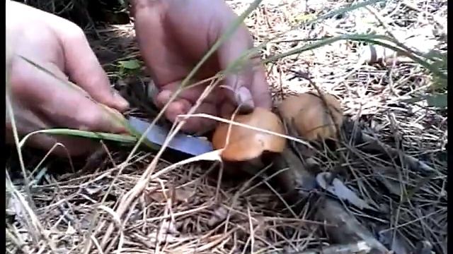 «Тихая охота» в разгаре смотреть онлайн