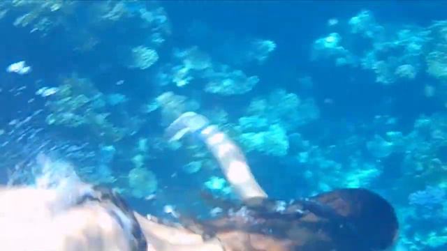 Red Sea Reef смотреть онлайн