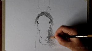 Штрихую голову лошади. Часть 2. Как нарисовать голову лошади в анфас карандашом