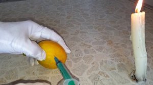 КАК ВЫРАСТИТЬ ГОМУНКУЛА ИЗ ЯЙЦА