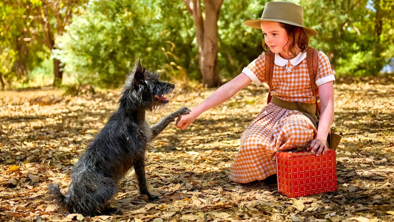 Мой любимый двортерьер — Русский трейлер (2024) смотреть онлайн