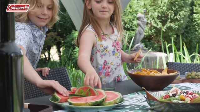 Coleman® FastPitch™ Shelter L 3.6 X 3.6 M - Quick Set Up Gazebo For Your Garden & The Campsite