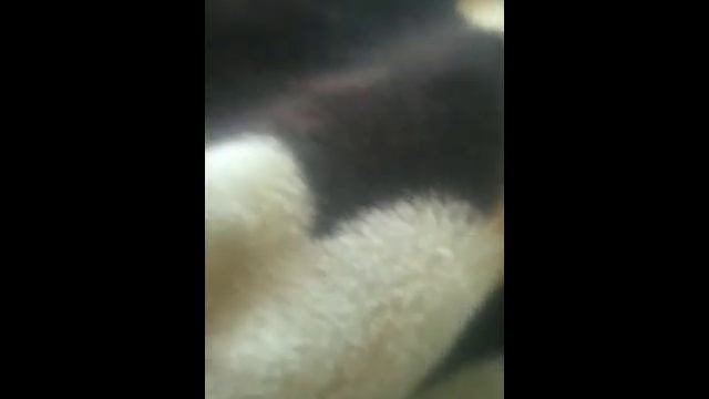 я уйду с канала пока не будут отписываться и будут ставить лайк!!!!!! смотреть онлайн