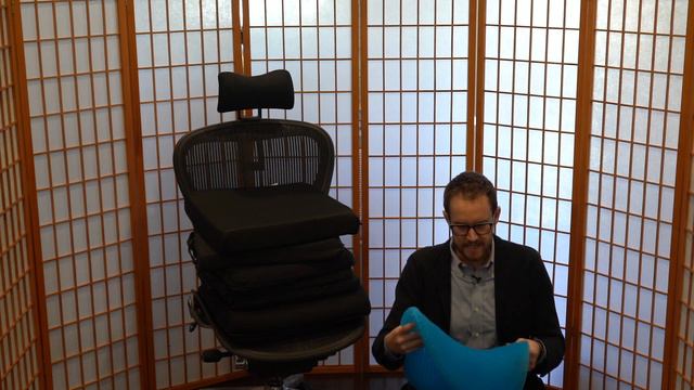 Best Seat Cushion For Aeron Size B (Classic Or Remastered)