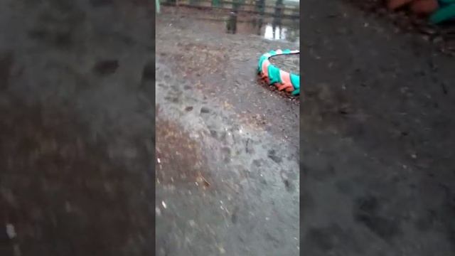 Болотная весна (м-да уж)... смотреть онлайн