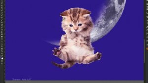 КОТЕНОК НА ЛУНЕ | Kitten on the moon