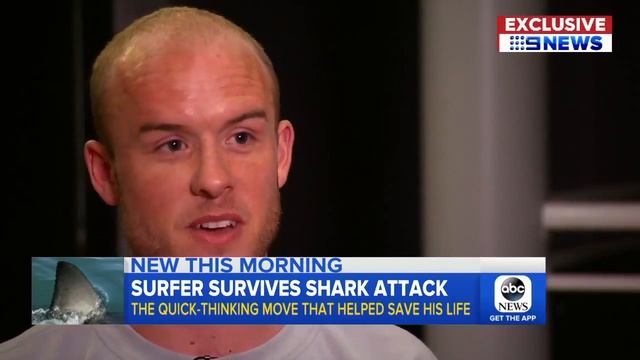Surfer punches shark in face to escape attack смотреть онлайн
