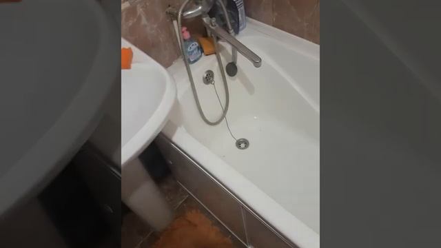 Перестал греть Водонагреватель POLARIS FDM 10V