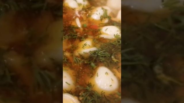 День первый.               Суп с пельменями.