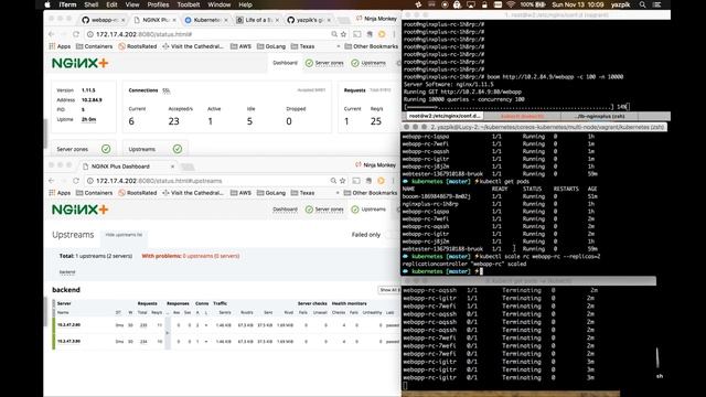 Load balancing a basic webapp with nginxplus and kubernetes update2 смотреть онлайн