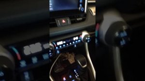 Toyota Rav4 2019/2020 Android auto, Без проблем только на Android 10.