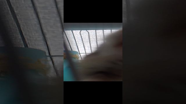 мой хомяк Ання смотреть онлайн