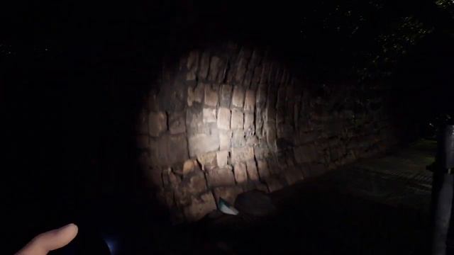 прохождение игры Five Nights at Freddy’s: Security Breach : Мусорология . Альфа версия