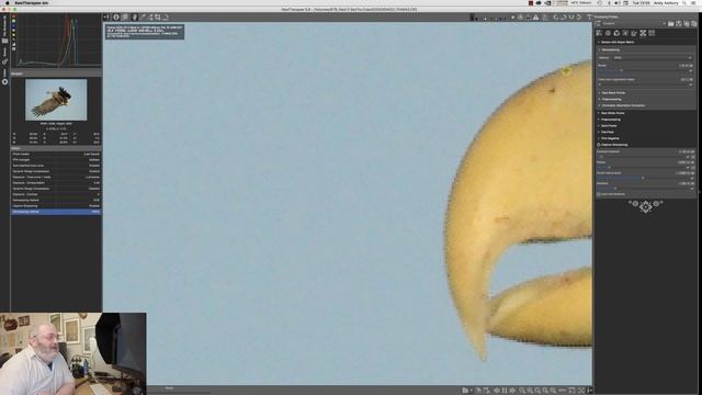 Rawtherapee Basics - Demosaicing Algorithms & Capture Sharpening смотреть онлайн