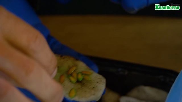 Строительные Ремесленники