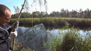 Ловля раков раколовками. Вареные раки