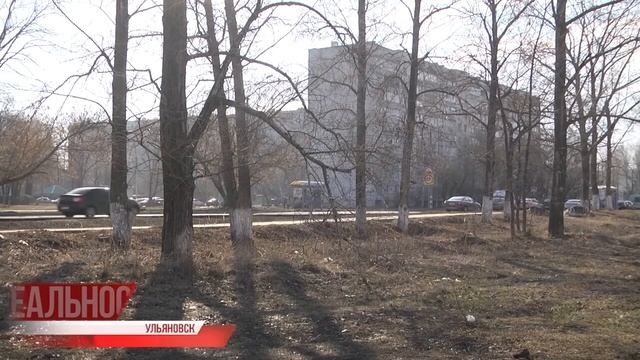 ГородDOG. Как построить площадку для выгула собак смотреть онлайн